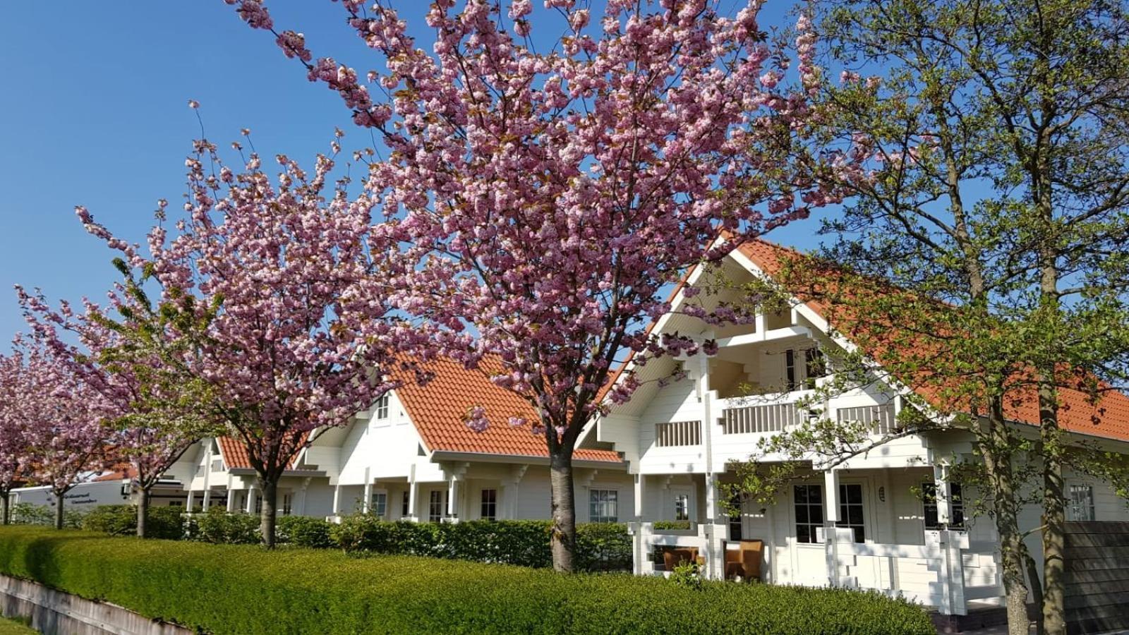 Holiday Park Dennenbos Oostkapelle Exterior foto