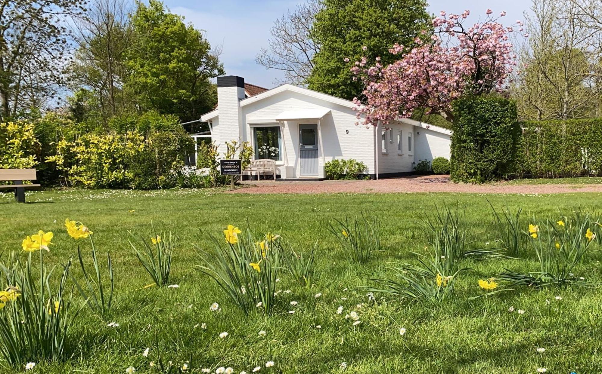 Holiday Park Dennenbos Oostkapelle Exterior foto